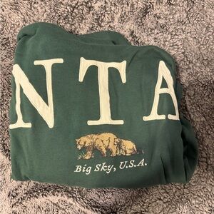 Hollister Green Graphic Sweatshirt
